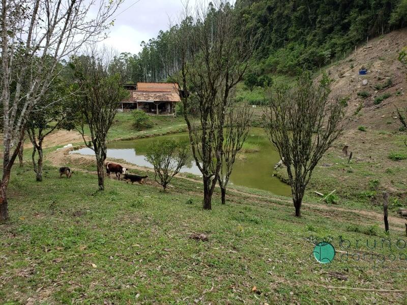 Sítio, 25 hectares - Foto 2